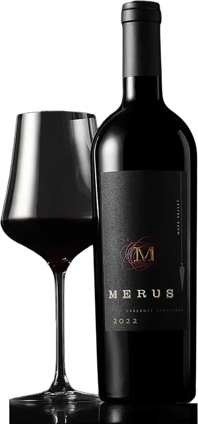 cabernet sauvingnon bottle with shadow